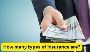 How many types of insurance are?